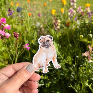 Pug Dog Sticker, Pug Mom, Pug Lover, Pug Owner, Pug Dad, Puggle, Sticker for Phone, Tablet, Computer, Laminated Water Resistant Sticker