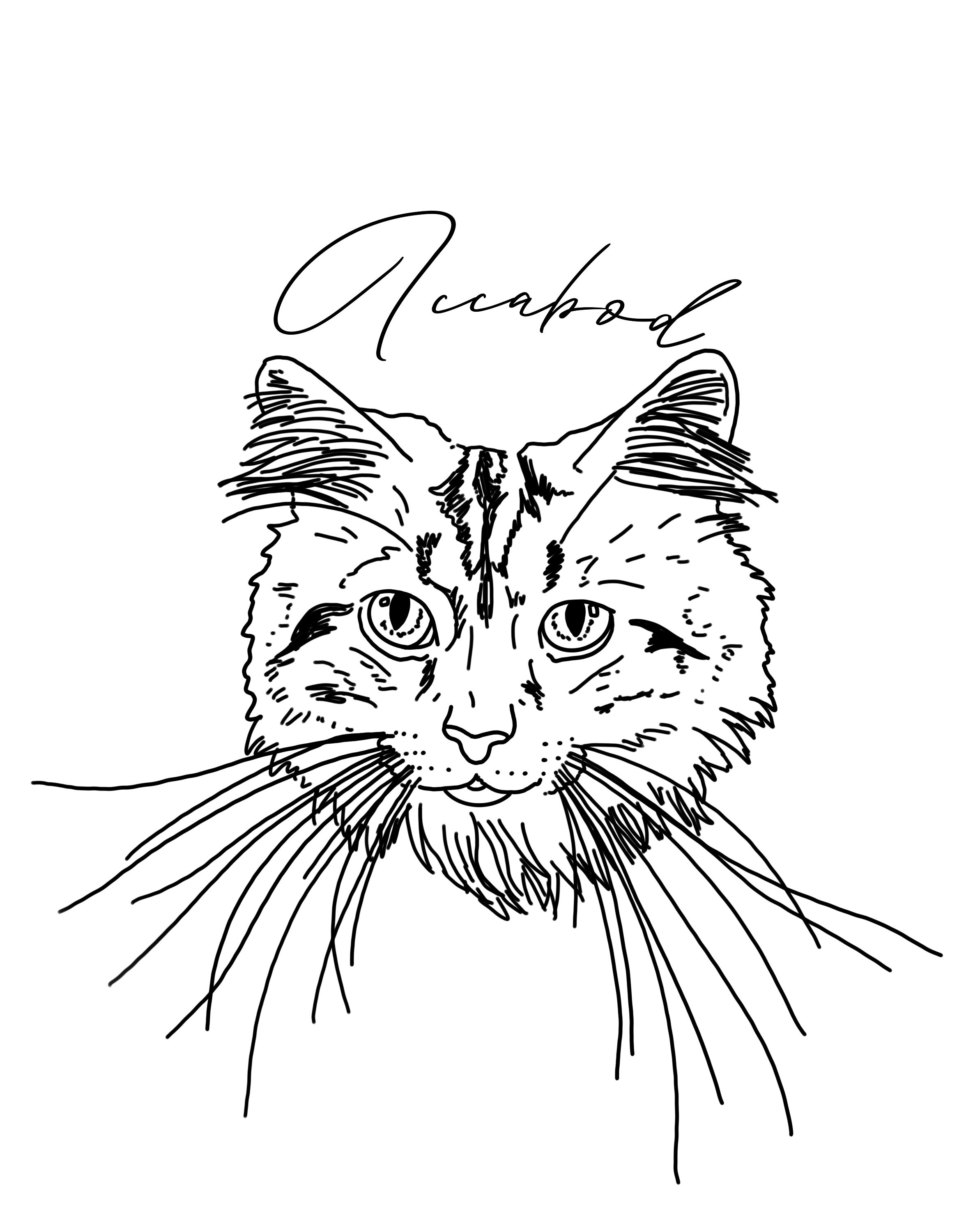 Custom Pet Portrait Line Drawing From Photo Art Etsy