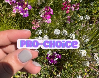 Rainbow Pro Choice Sticker, Women's Rights Vinyl Decal