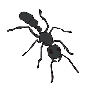 Hand Drawn Black Ant, Insect, Bug SVG File, Drawn clipart, Cutting File, Cut File