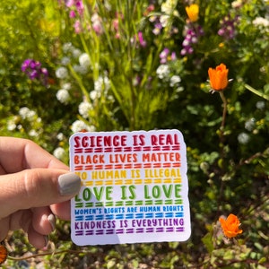 May include: A white sticker with rainbow colored text that reads "Science is real", "Black Lives Matter", "No Human is Illegal", "Love is Love", "Women's Rights are Human Rights", and "Kindness is Everything".