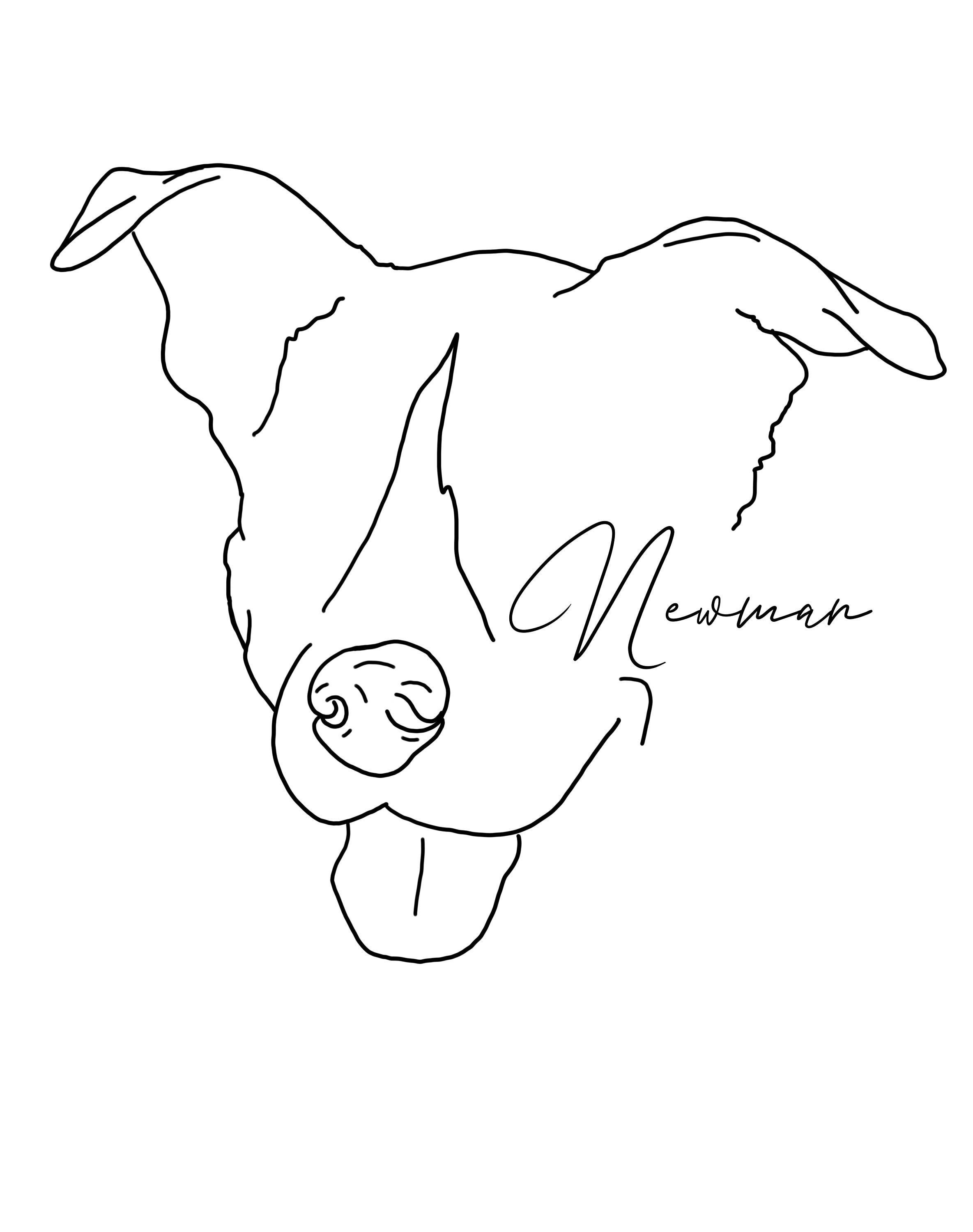 Custom Pet Portrait Line Drawing From Photo Art Etsy