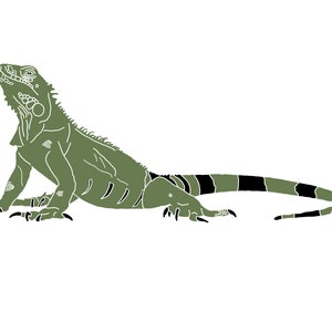Iguana SVG, Lizard SVG, Iguana Cutting File, Hand Drawn SVG File, Cutting File, Cut File, Iguana Cricut File, Iguana Vector, Commercial Use