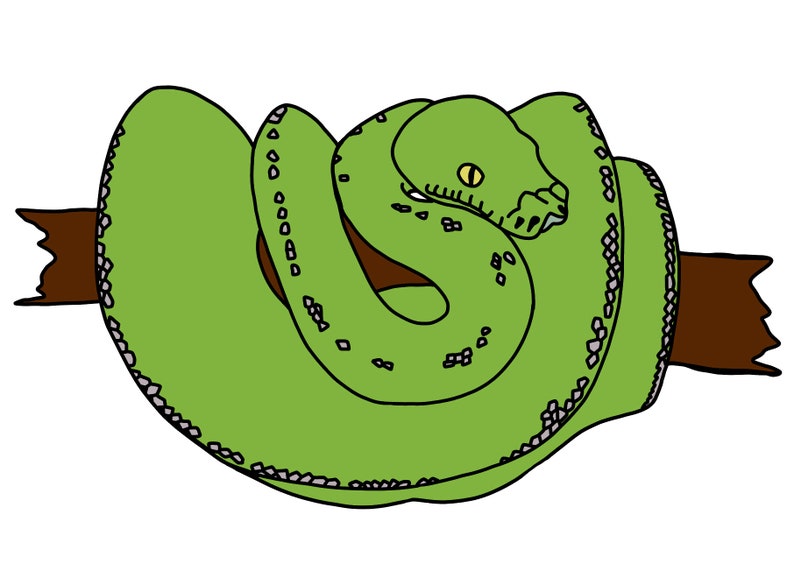 Hand Drawn Green Tree Python Reptile Python Snake SVG File | Etsy