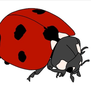 Handgetekende lieveheersbeestje, insect, insect SVG-bestand, getekende clipart, snijden, bestand knippen