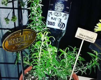 Water My Weed-  A Beer or Wine Bottle Adapter to Water Your Herb Garden or Houseplants