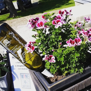Wine to Watered-  A Wine Bottle Adapter to Water Your Garden or Houseplants