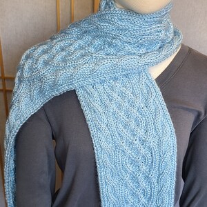 May include: A light blue knitted scarf with a cable knit pattern.