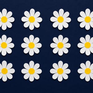 White daisy  flowers, pretty scrapbooking flowers, die cuts ,  cardstock embellishments, paper craft, white flowers, card making supplies