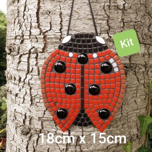 Ladybird Mosaic Craft Kit, in the UK, Ladybird gifts, Garden DIY, Garden decor,  Spring home decor, Ladybird gift, make your own