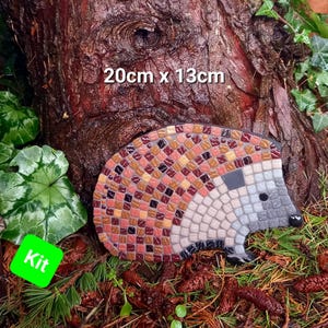 May include: A mosaic hedgehog kit, measuring 20cm x 13cm, with brown, orange, and grey tiles. The kit is displayed on a tree trunk with green foliage.