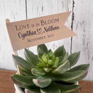 Let Love Grow Favors, Love In Bloom Bar Succulent Guest Thank you Gift Tags  Flower Market Bridal Shower Wedding Anniversary