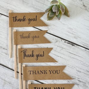 Thank You Tags for Succulent Wedding Favors, Baby Shower guest gift, Bridal Shower Plant Tags, Kraft Tags attached to stick for plants