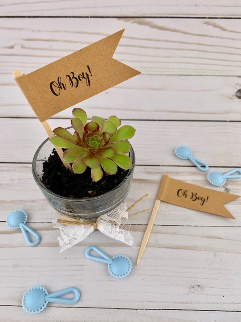 Oh Boy Oh Baby Baby Shower Favors Oh Baby Its a girl plant Etsy