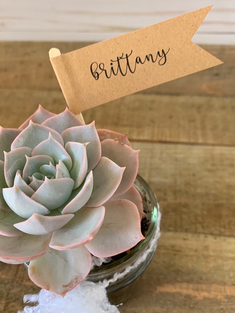Succulent plant tags assembled name tags personalized tags Etsy
