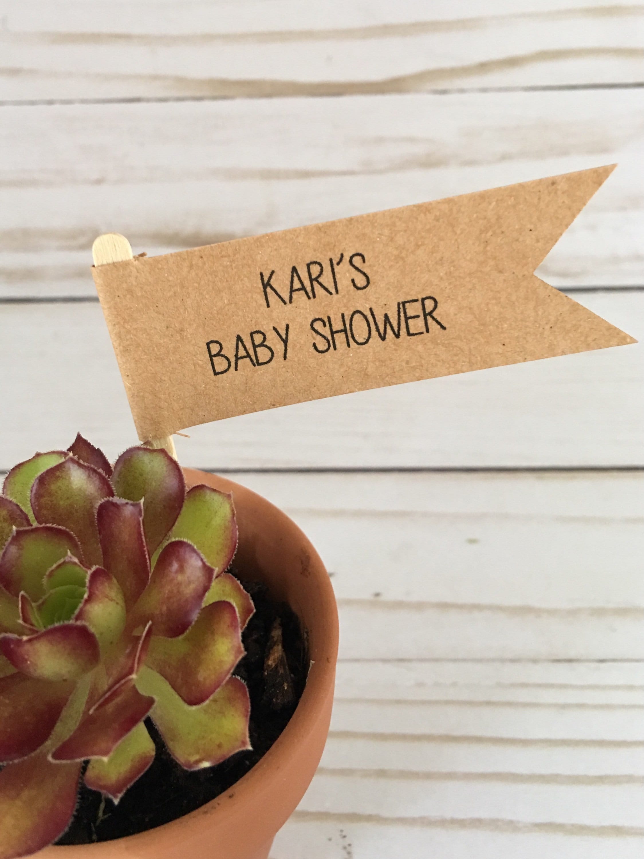 Baby Shower Plant Favors Bridal Shower Thank you Flags Let Etsy