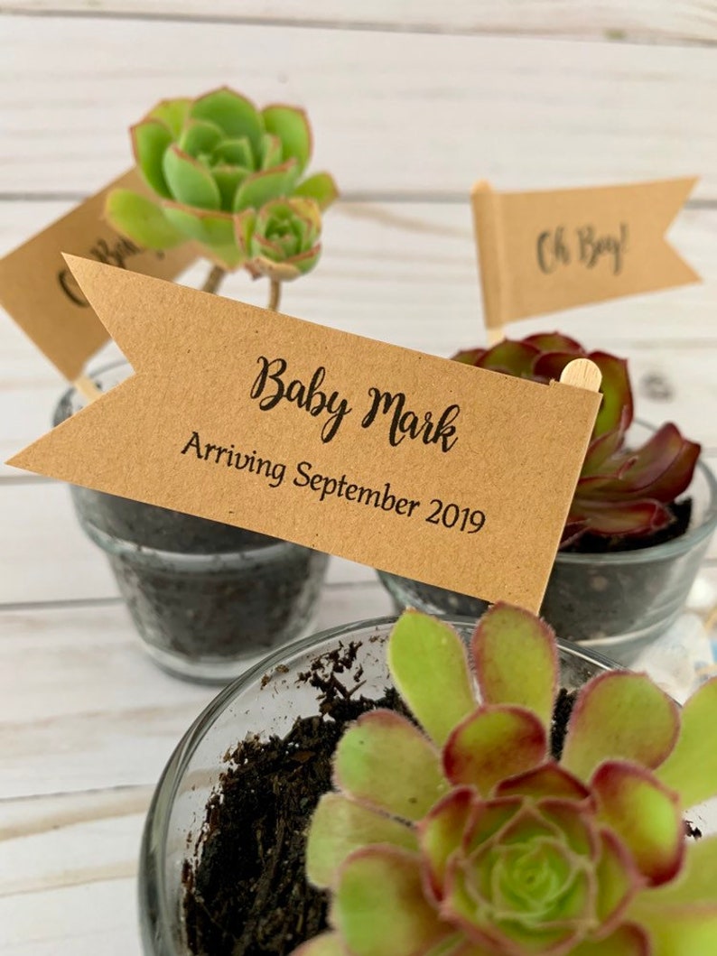 Oh Boy Oh Baby Baby Shower Favors Oh Baby Its a girl plant Etsy