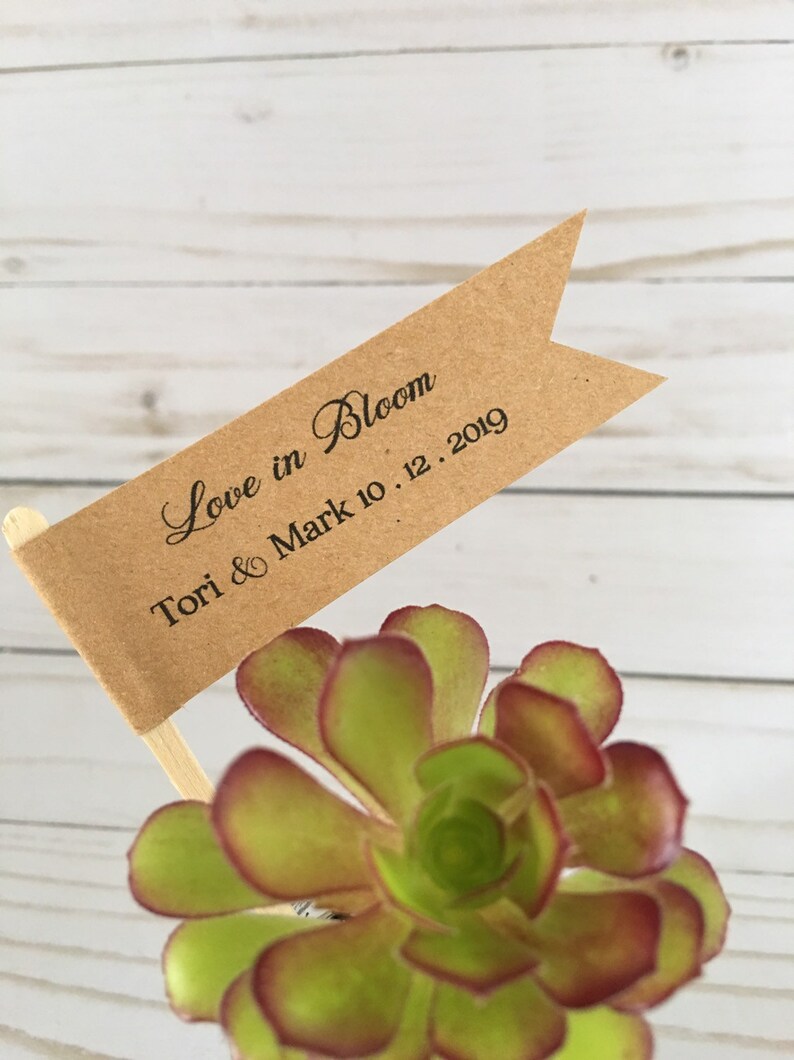 Succulent Plant Favors Bridal Shower Thank you Flags Love in Etsy