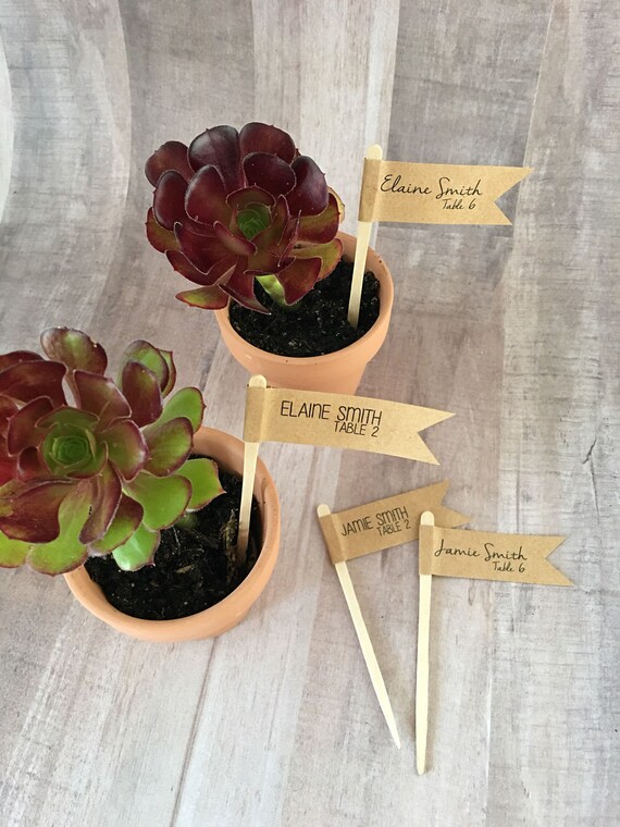 Succulent Name Chart