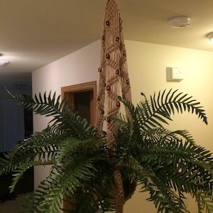 Puede incluir: Un macetero de macramé con cuentas de madera marrón cuelga del techo y sostiene una planta de helecho verde.