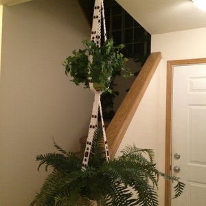 May include: A white macrame plant hanger with brown beads hangs from the ceiling. A green plant is in the hanger. The plant is hanging over a set of stairs.