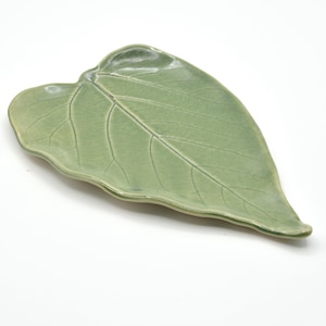 May include: A light green ceramic leaf-shaped dish. The dish has a detailed vein pattern and a slightly raised edge. The color is a soft, muted green, and the surface has a subtle sheen. This decorative dish is ideal for serving small snacks or as a decorative accent.
