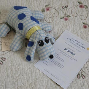 May include: A plush dog toy made of light blue and white gingham fabric with dark blue spots, a yellow collar, and black embroidered eyes. Beside it is a paper certificate of adoption titled Little Coastal Pups for Skipper.