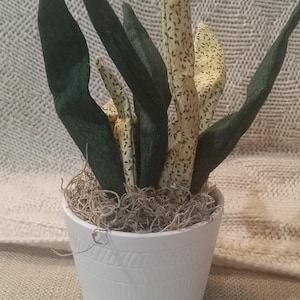 Peut inclure: Un pot en céramique blanche avec un motif texturé, rempli de mousse brune et une plante artificielle avec des feuilles vertes et crème.