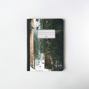 Oaks Notebook - Journal - Sketchbook - Blank pages - Lined pages