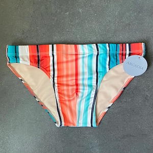 Serape Stripe Swim Brief, Men&#39;s swim brief