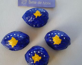 Kosovo Magnet Flag