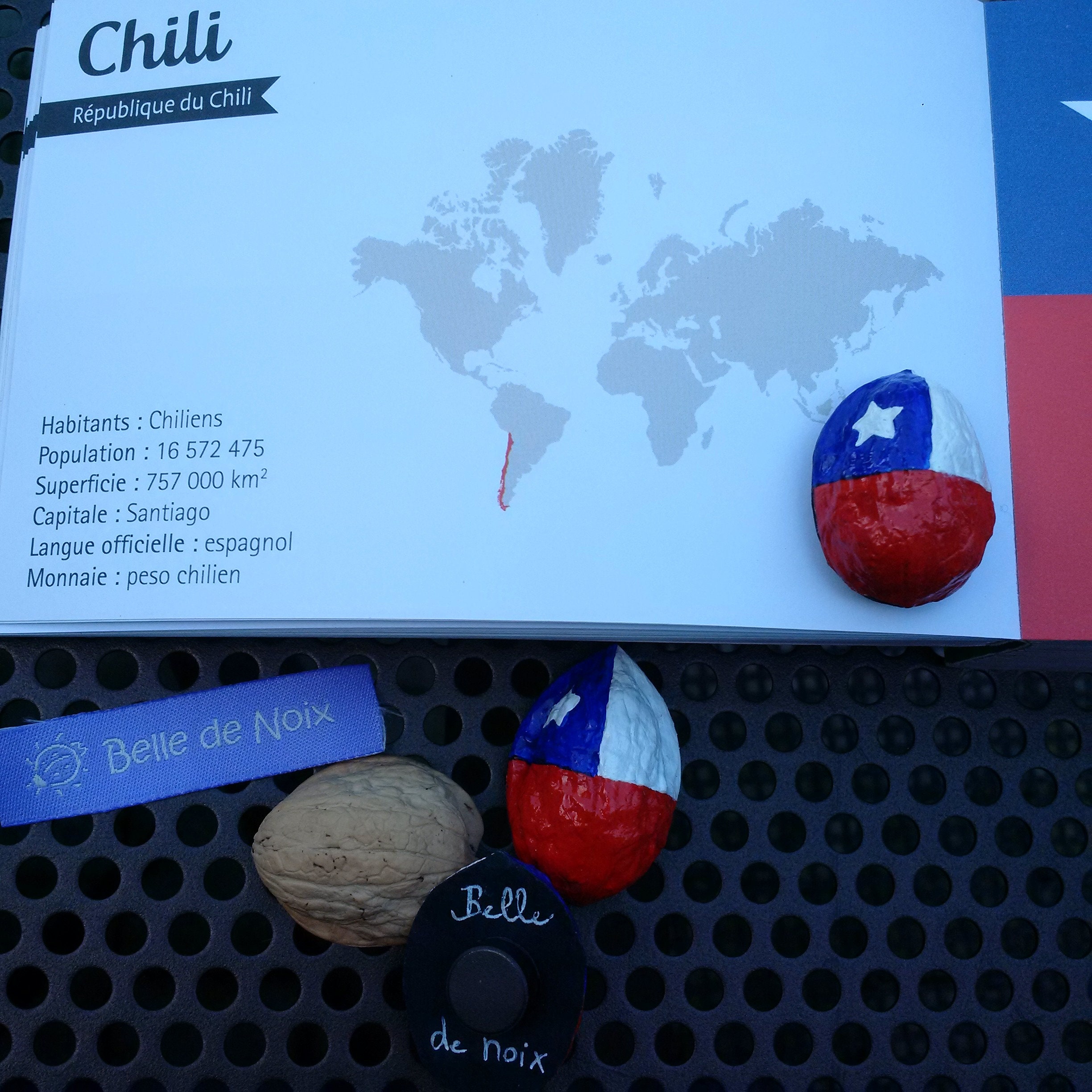 Drapeau-Magnet Chili