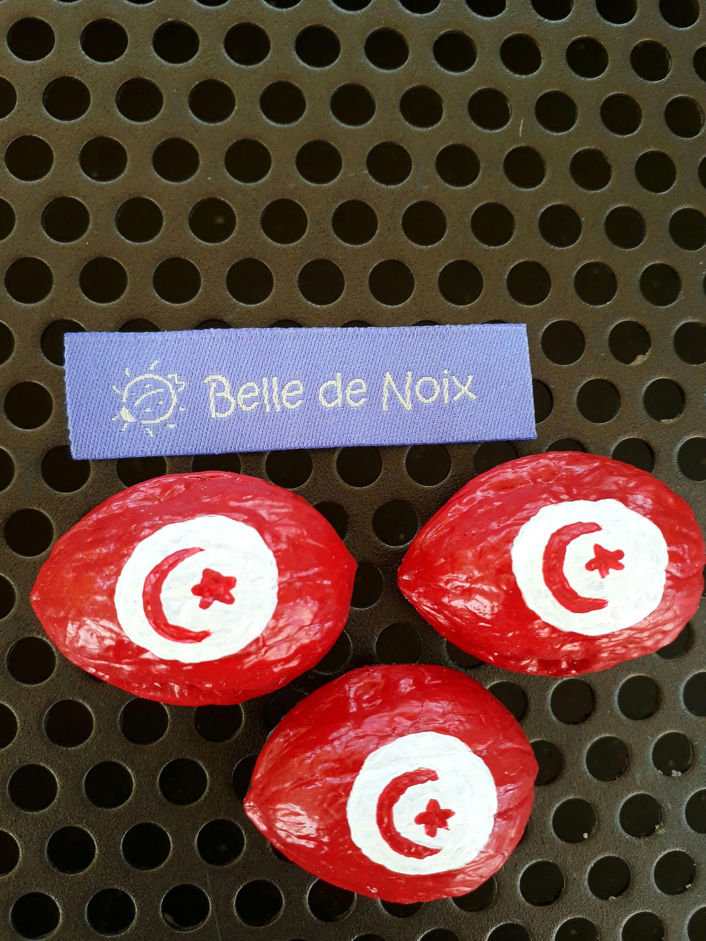 Drapeau-Magnet Tunisie