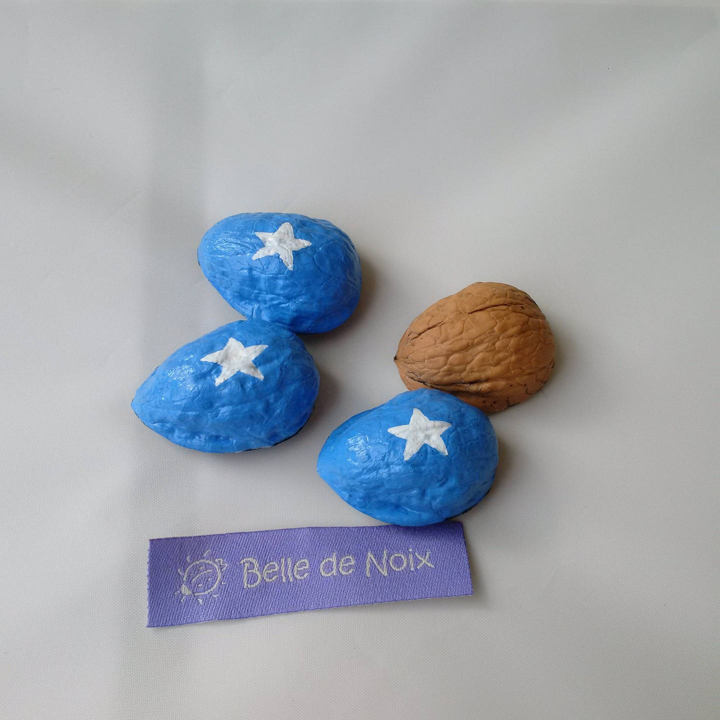 Drapeau Magnet Somalie