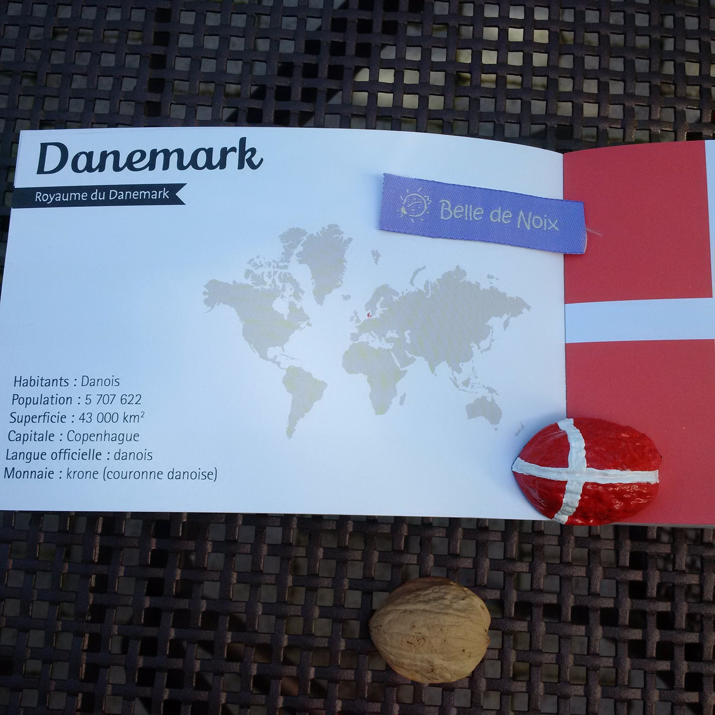 Magnet-Drapeau Danemark