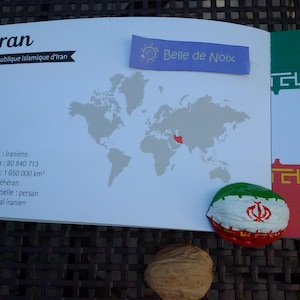 Iran Flag Magnet