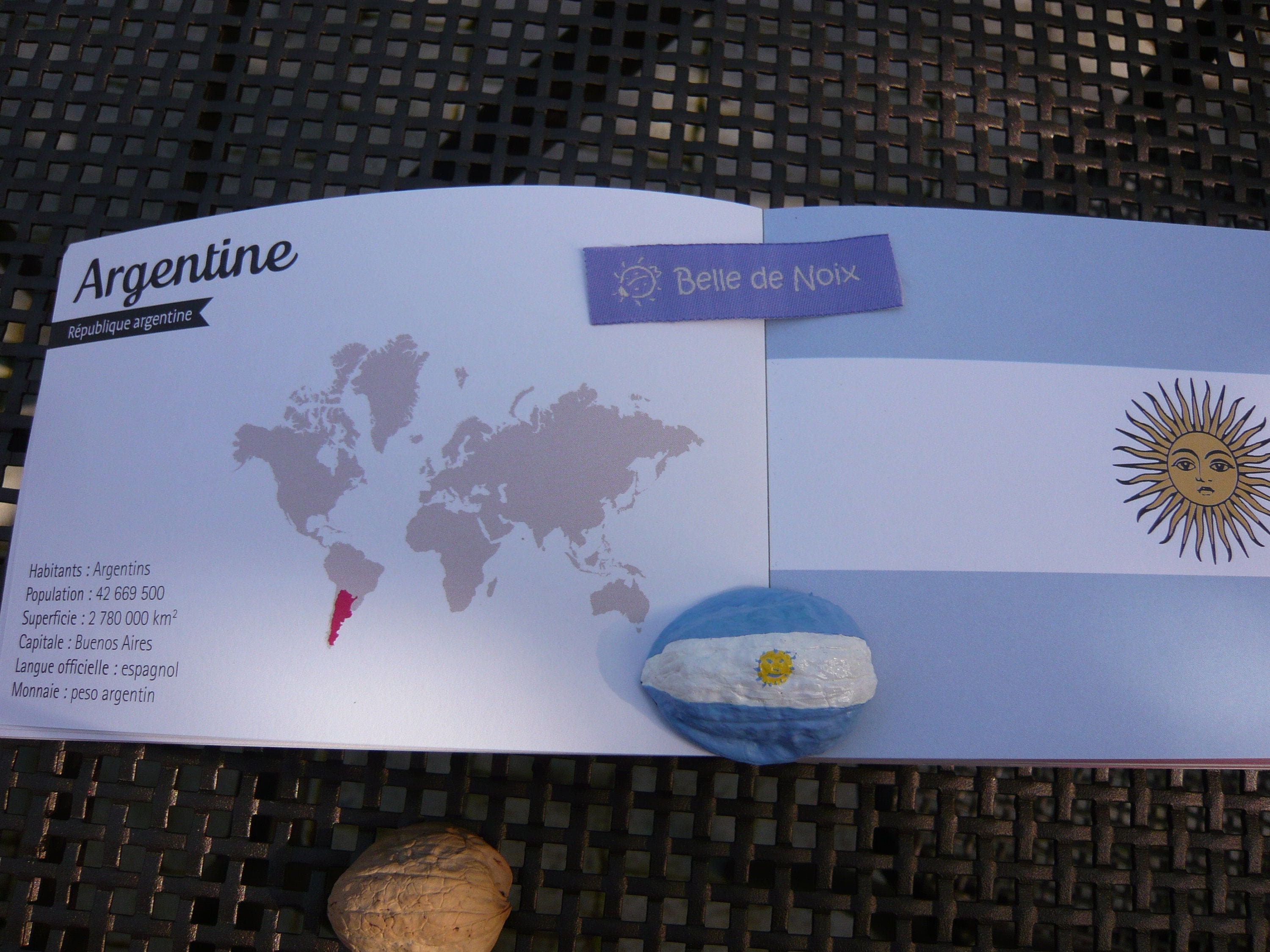 Drapeau-Magnet Argentine