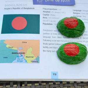 Flag Magnet Bangladesh