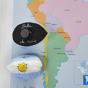 Argentina Flag Magnet