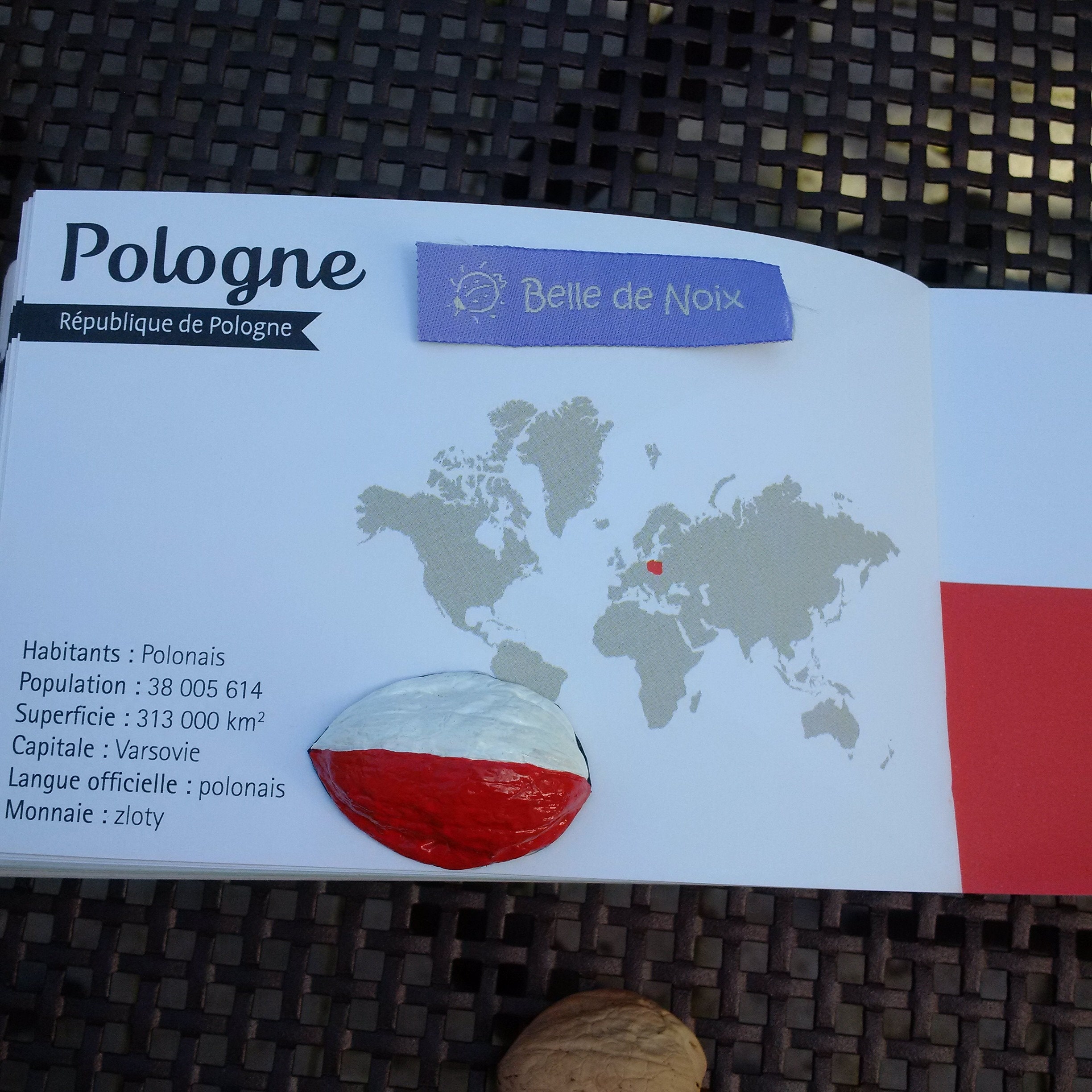 Drapeau-Magnet Pologne