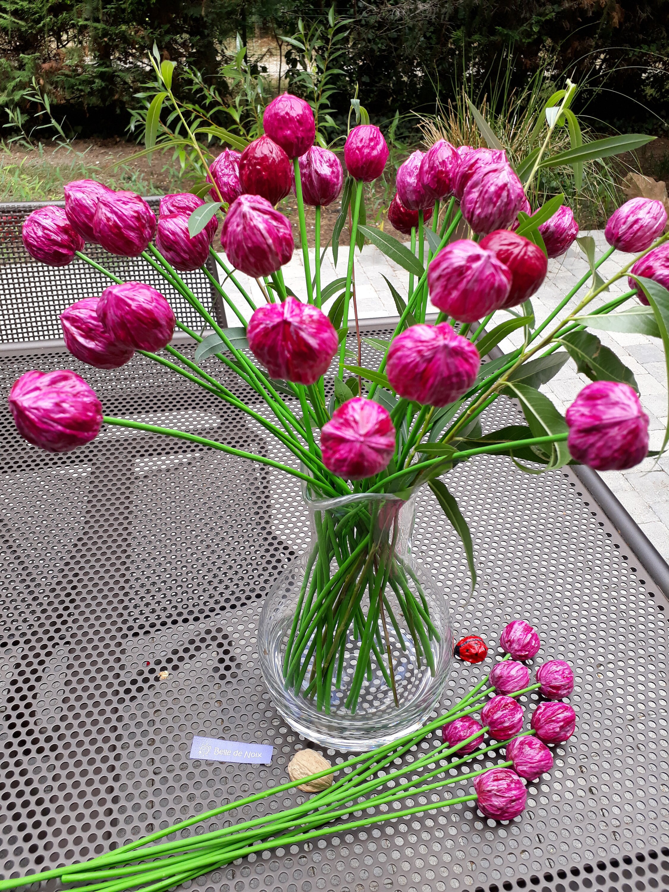 12 Fleurs en Noix, Tiges Osier