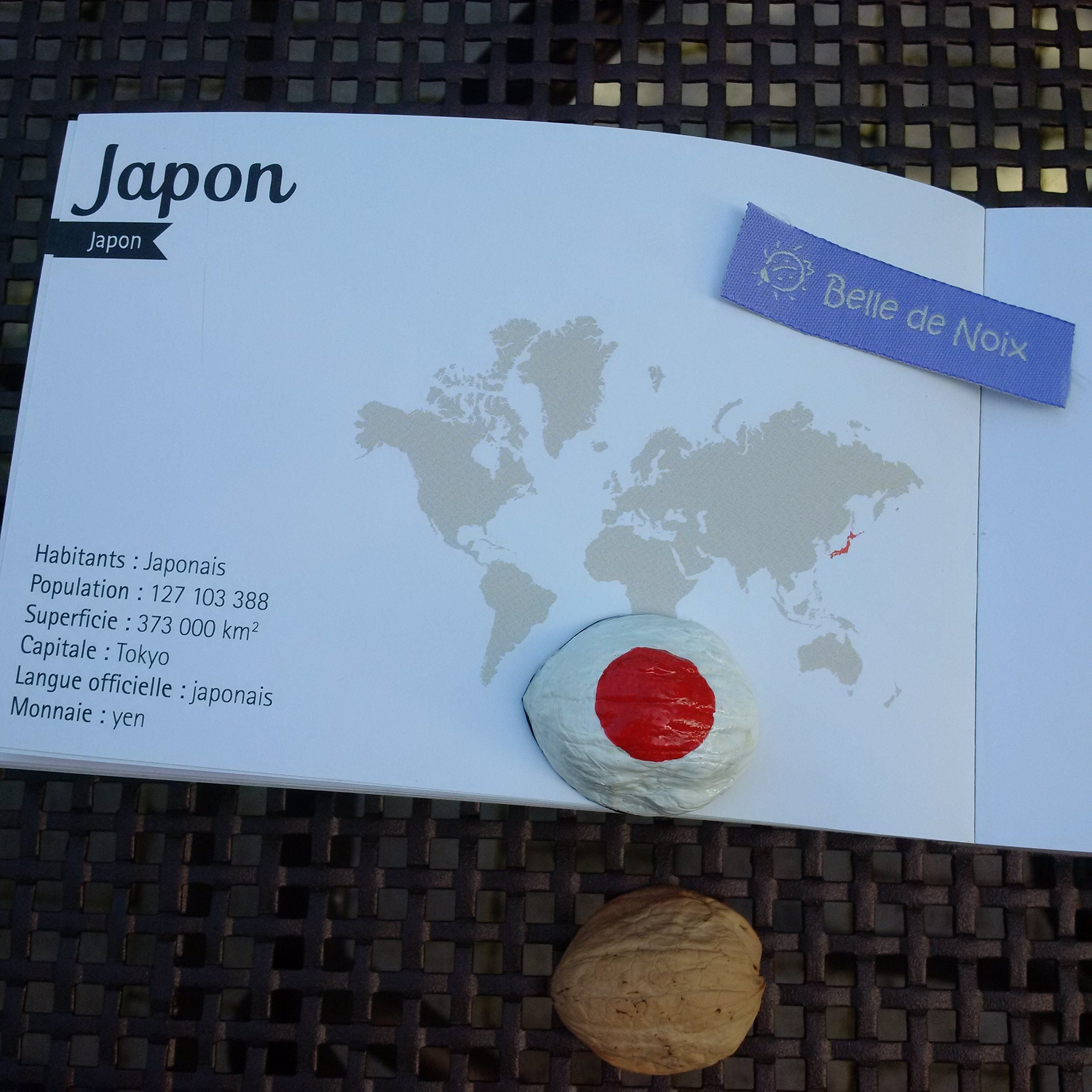 Drapeau-Magnet Japon