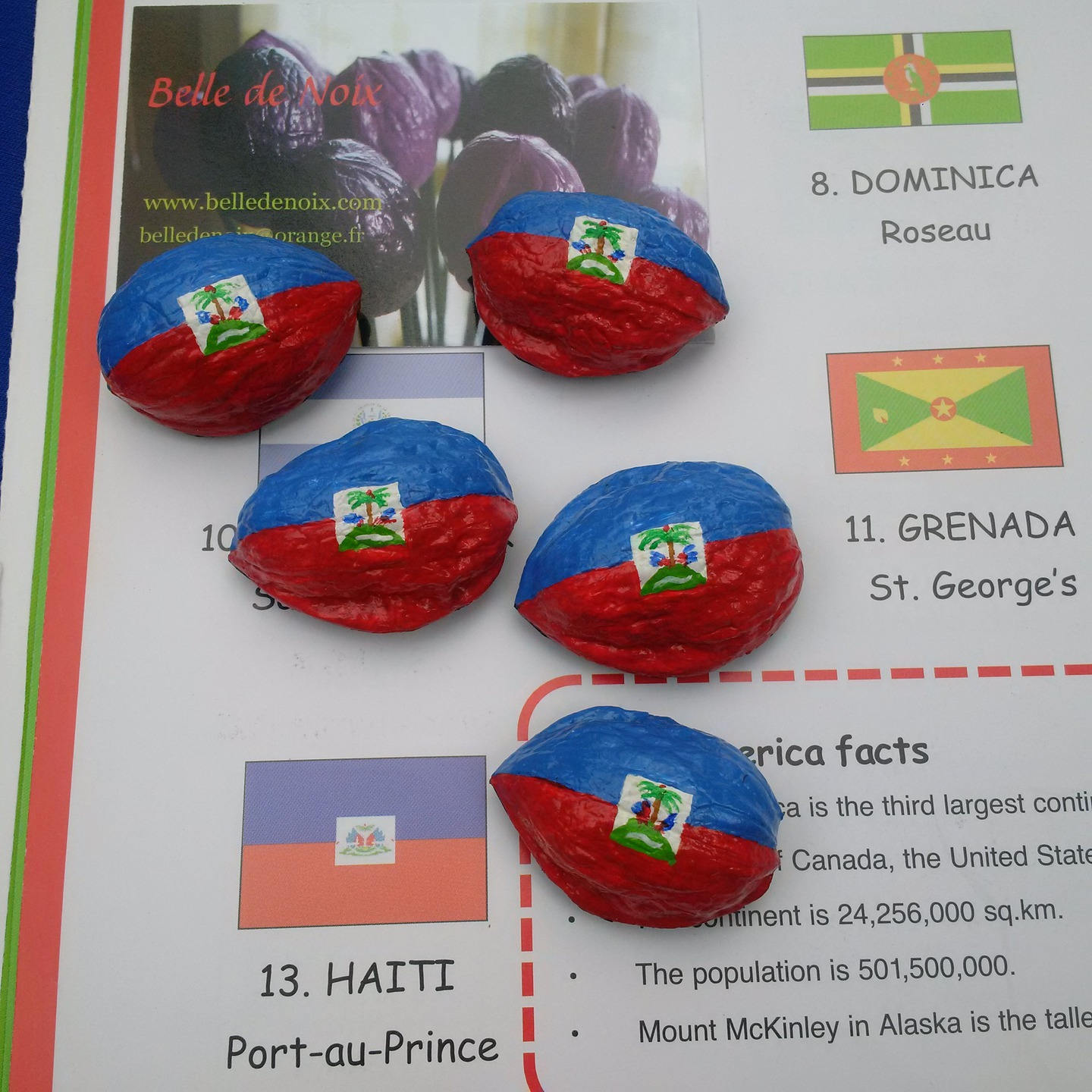 Drapeau Magnet Haïti