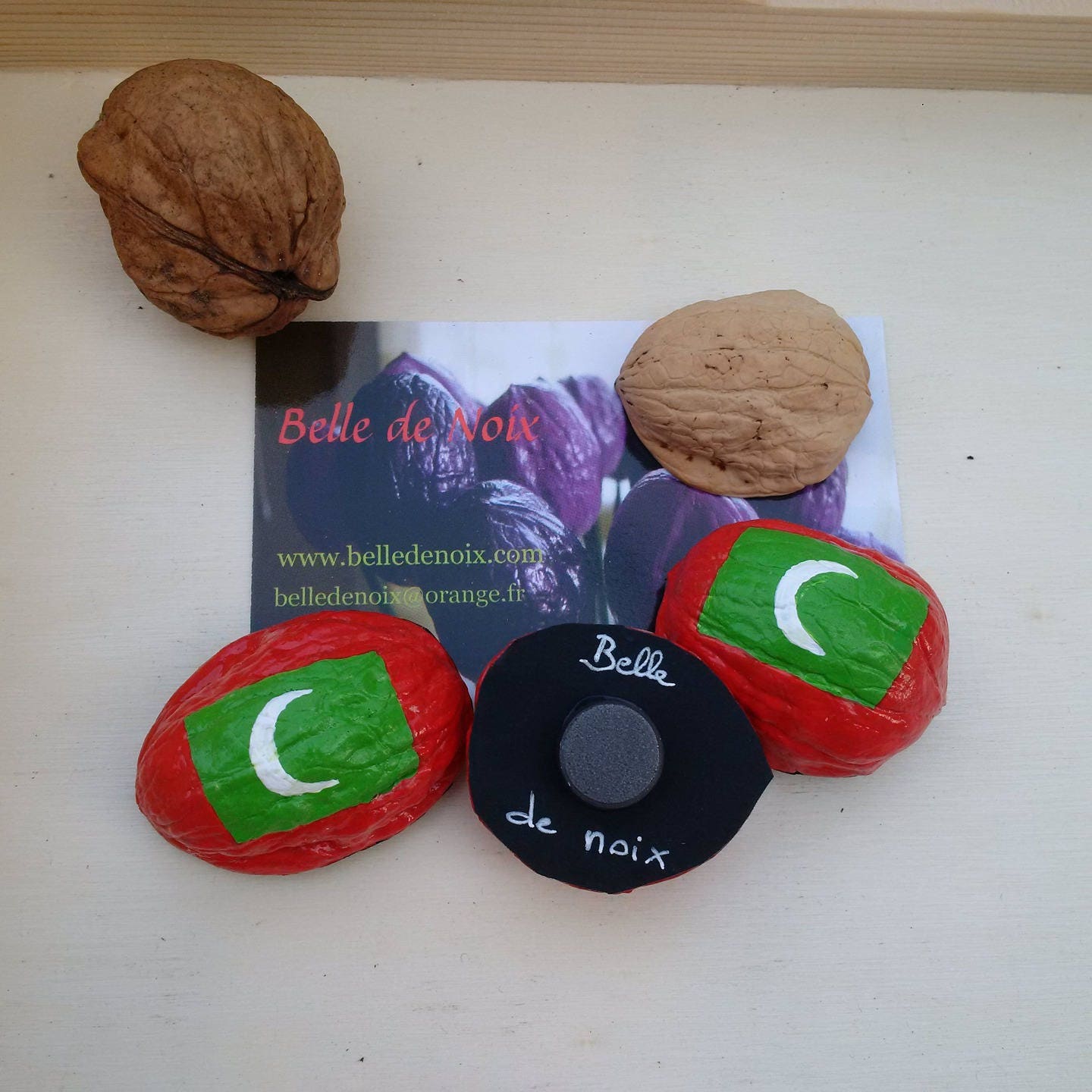 Drapeau Magnet Les Maldives