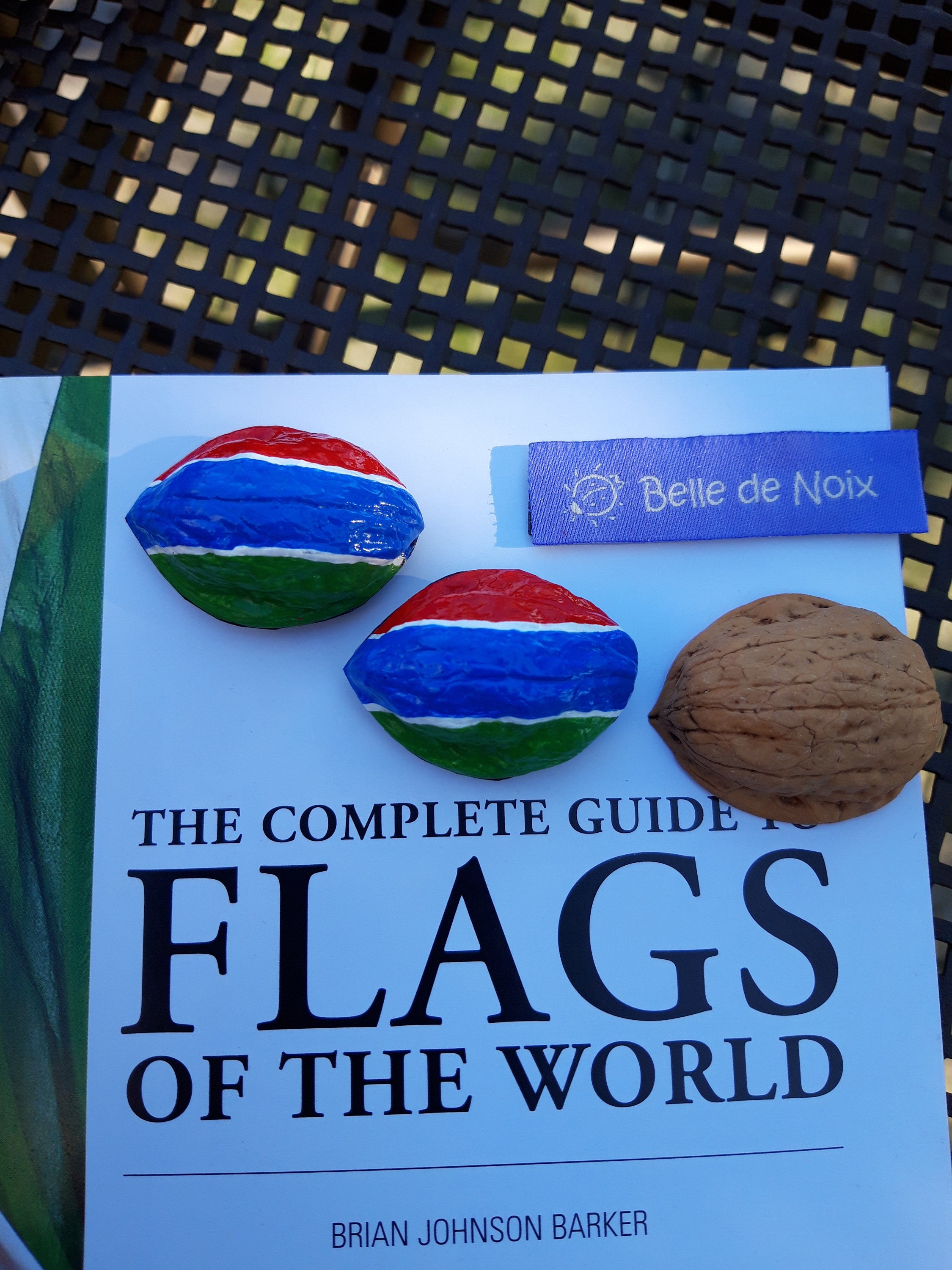 Drapeau-Magnet Gambie