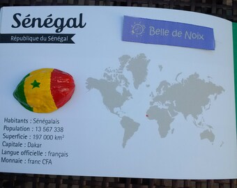 Flaggen-Magnet Senegal