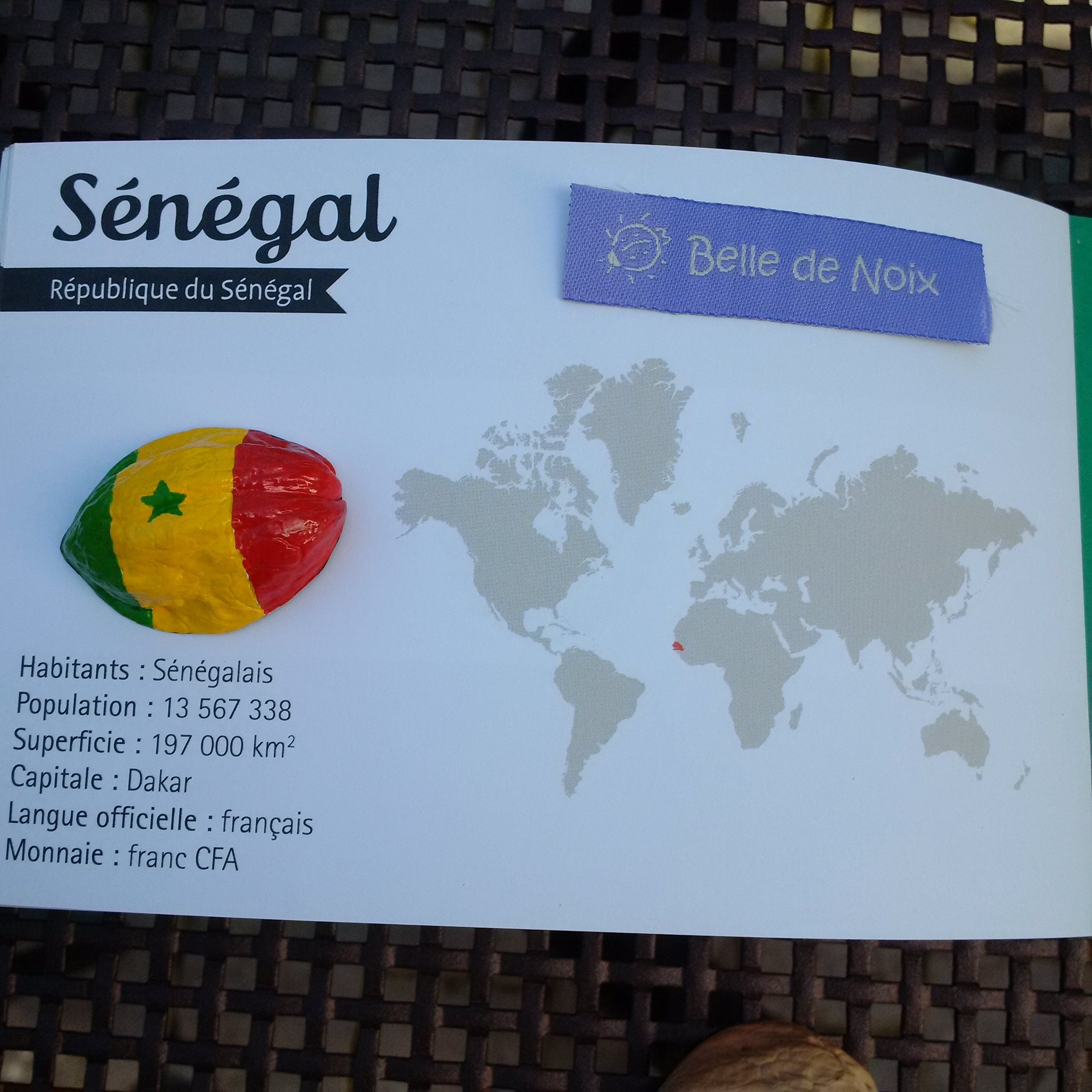 Drapeau Magnet Sénégal