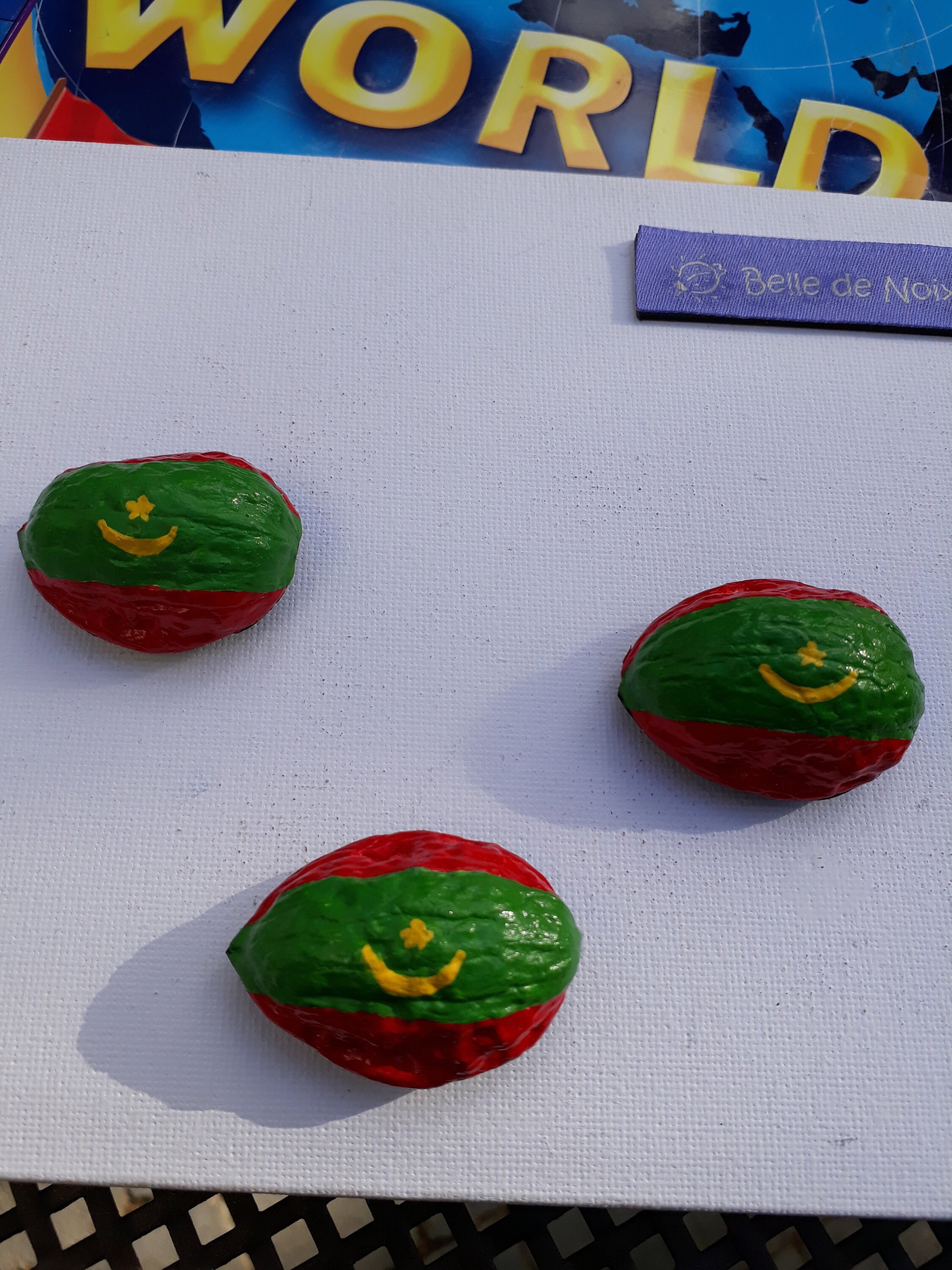 Drapeau-Magnet Mauritanie