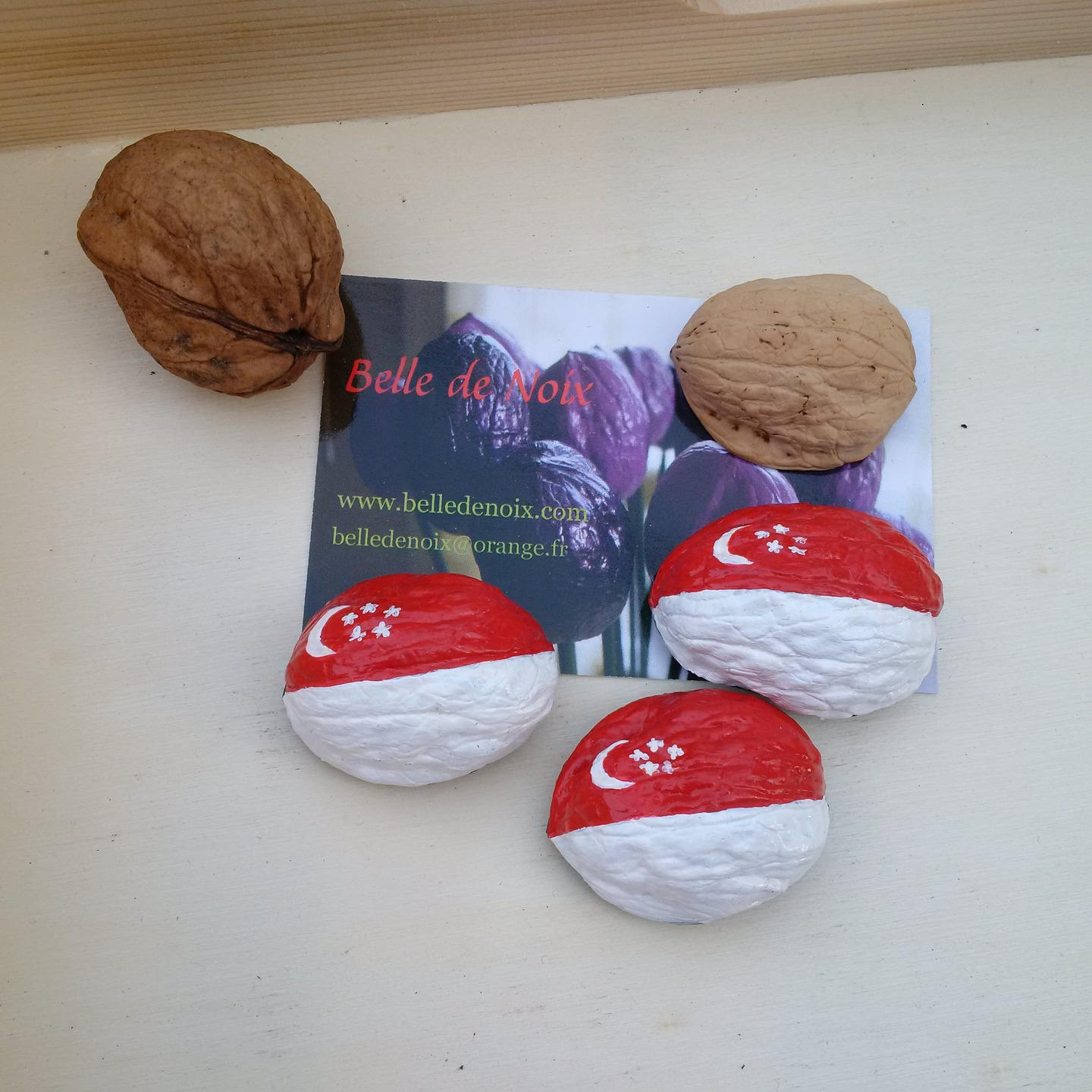 Drapeau Magnet Singapour