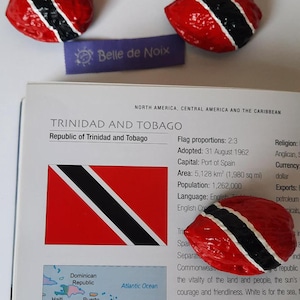 Trinidad & Tobago Flag Magnet